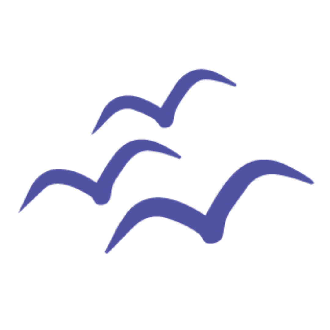BrainReGain